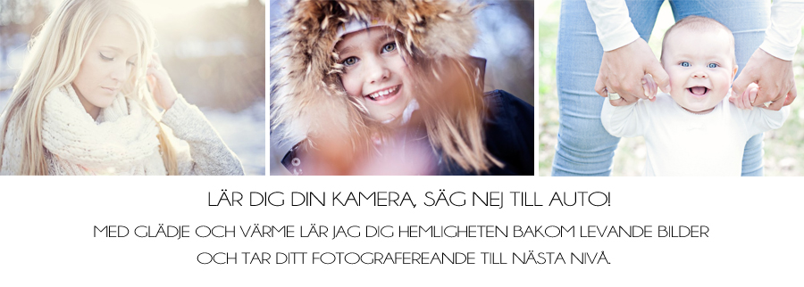 header kurser